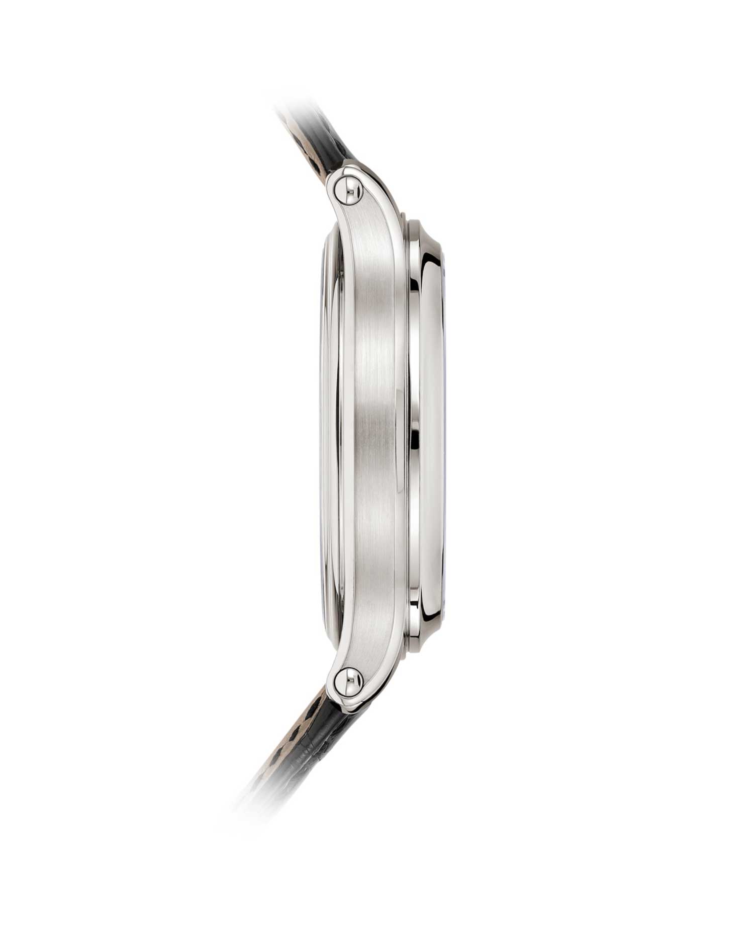 Patek Philippe Grandes Complicaciones 6301P-001